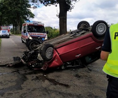 Pasażerka przestraszyła się pająka, kierowca dachował