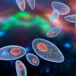 Pasożyt mózgu infekujący miliony. Wcale nie jest taki "uśpiony"