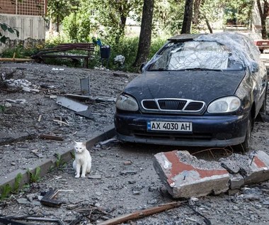 Passaty zamiast Lanosów. Te stare auta z Polski to hity wśród Ukraińców