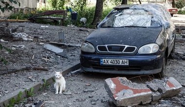 Passaty zamiast Lanosów. Te stare auta z Polski to hity wśród Ukraińców