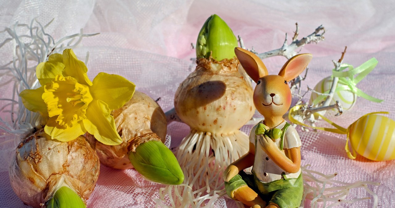 Пастельні кольори створюють ніжну та святкову атмосферу на великодньому столі /pixabay.com