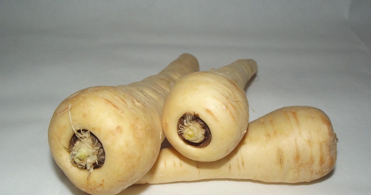 Пастернак зазвичай більший і товстіший, ніж корінь петрушки /pixabay.com