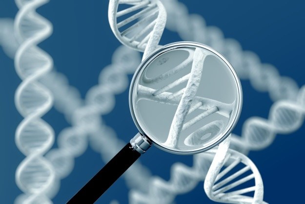 Patenty genetyczne czyhają na naszą autonomię /123RF/PICSEL