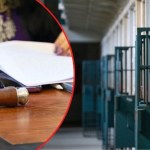 Patostreamer ps. Czujny i były asystent Grzegorza Brauna na wolności 