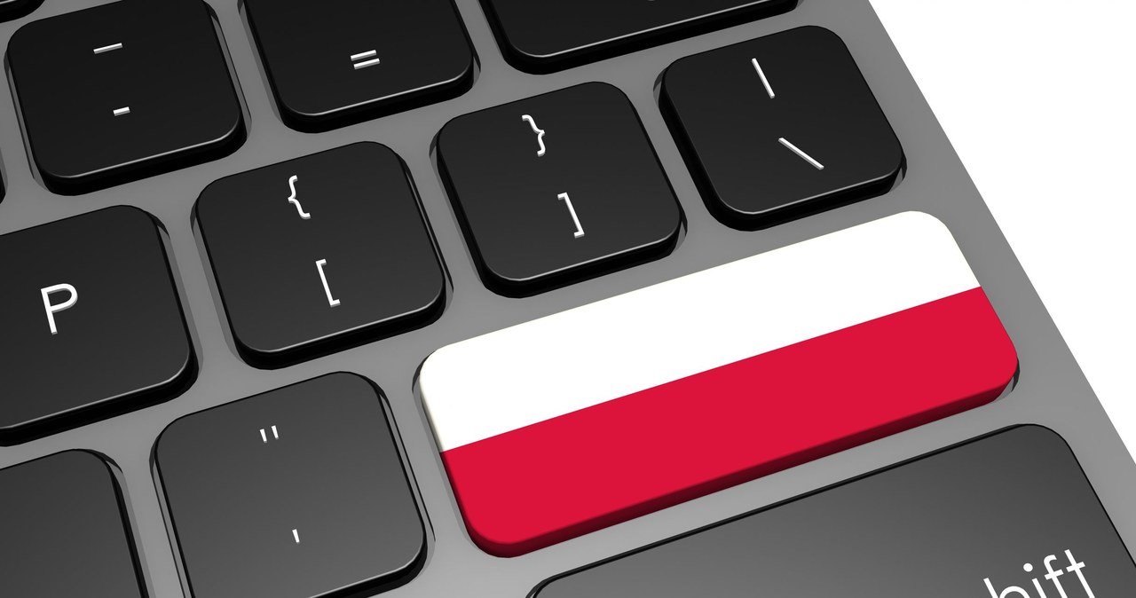 Patrząc na „stan obronności cybernetycznej” w Polsce można się nieco przestraszyć... /123RF/PICSEL