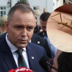 TVP Patyczaki trafiły do polskiej polityki. Nie spodobały się prezydentowi