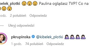 Paulina Krupińska odpowiedziała na zaczepkę /www.instagram.com/pkrupinska /Instagram