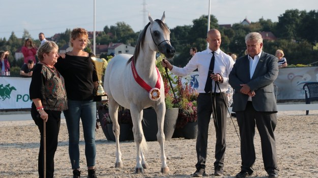 Paweł Kozikowski i Joanna Wojtecka odebrali specjalną nagrodę pokazu dla najlepszego duetu trener-prezenter /Jacek Skóra /RMF FM