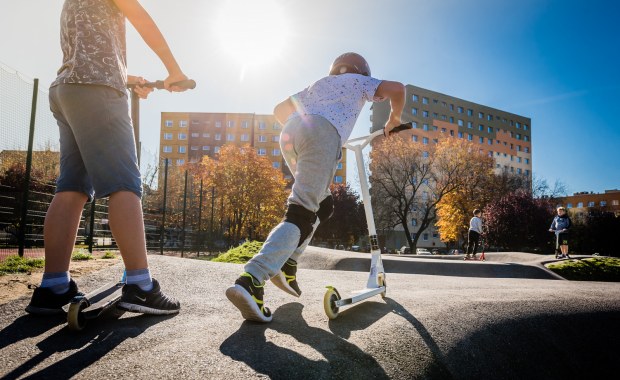 Pawilon dla kotów i pumptrack. Są wyniki głosowania w budżecie obywatelskim Katowic
