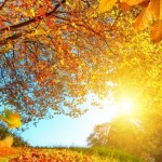 listopad Październik w pierwszej piątce: To był niezwykły miesiąc