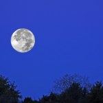 ​Październikowa pełnia Księżyca. Kiedy i dlaczego warto spojrzeć w niebo?