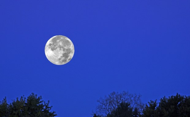 ​Październikowa pełnia Księżyca. Kiedy i dlaczego warto spojrzeć w niebo?