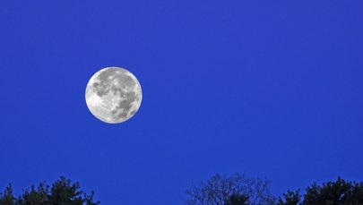 ​Październikowa pełnia Księżyca. Kiedy i dlaczego warto spojrzeć w niebo?