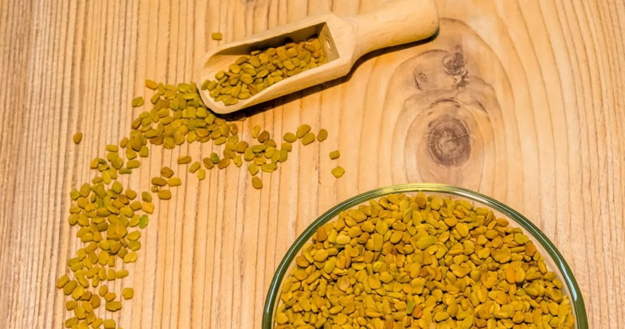 Пажитник - одна із найкорисніших спецій. Допомагає покращити травлення та схуднути /Domena publiczna