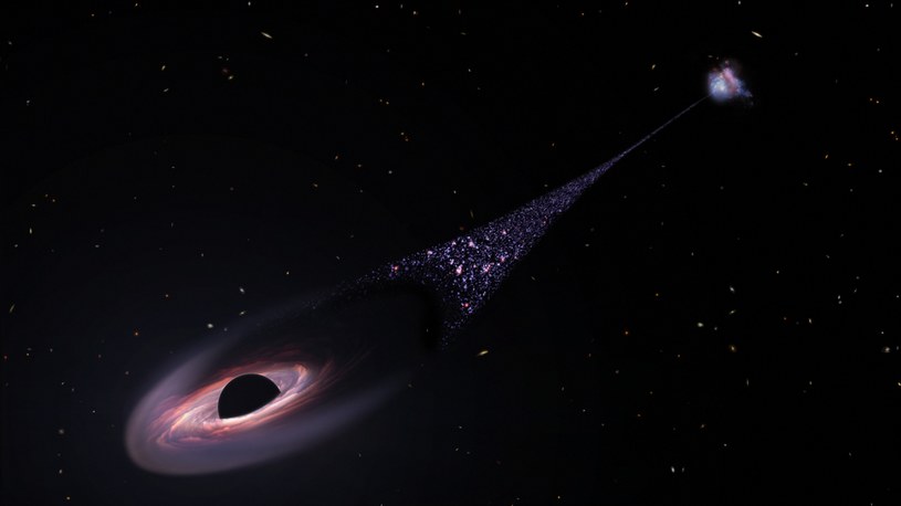 Pędzi z niesamowitą prędkością i zostawia za sobą łańcuch nowonarodzonych gwiazd /NASA, ESA, Leah Hustak (STScI) /domena publiczna