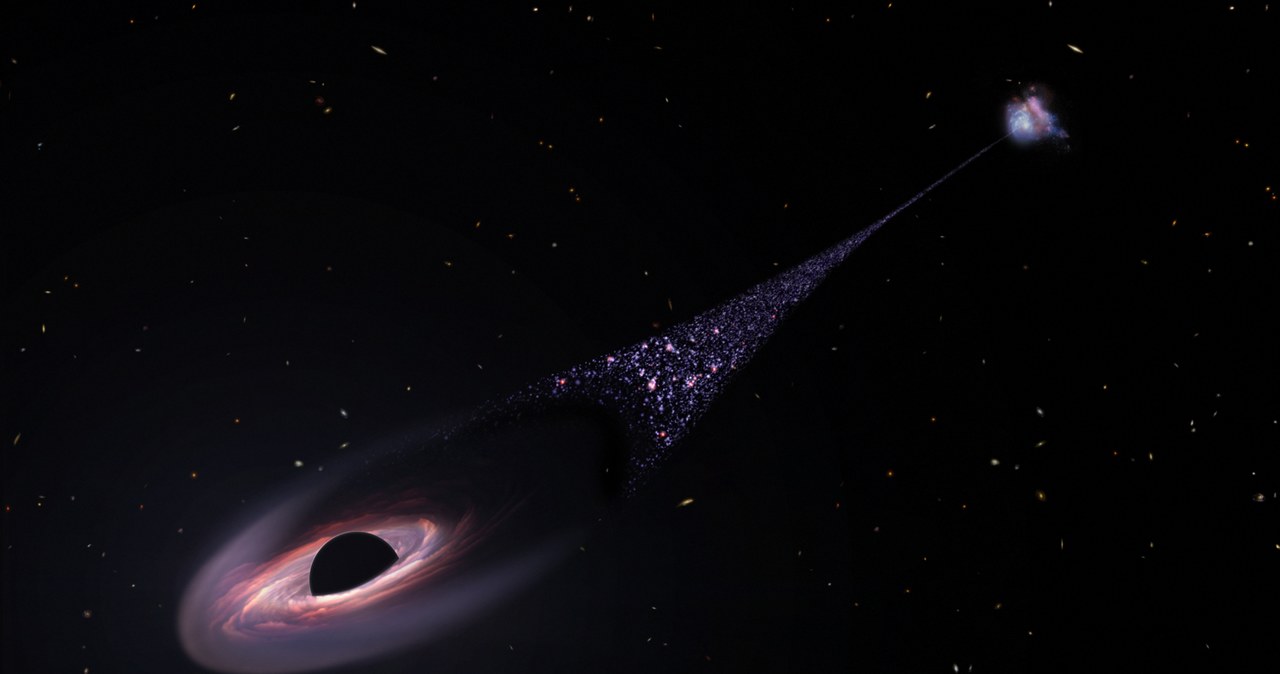 Pędzi z niesamowitą prędkością i zostawia za sobą łańcuch nowonarodzonych gwiazd /NASA, ESA, Leah Hustak (STScI) /domena publiczna