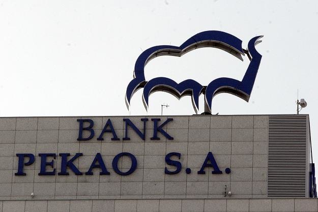 Pekao - do logo banku wróci żubr... Fot. Karol Piechocki /Reporter