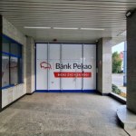 wizerunek Pekao i logo z żubrem mogą zniknąć na dobre. Bank szykuje duże zmiany