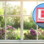 Pelargonie, tuje i warzywa już od 5,99 zł! Ogrodowa promocja w Kauflandzie jeszcze przez chwilę!