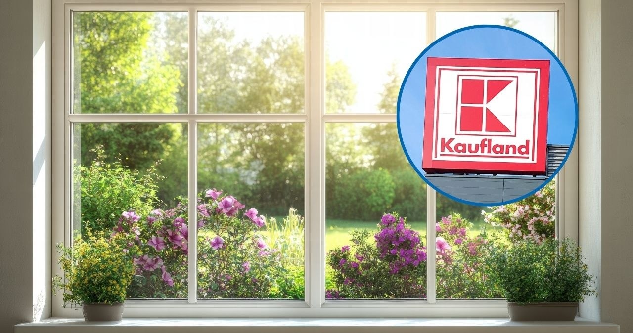 Pelargonie, tuje i warzywa już od 5,99 zł! Ogrodowa promocja w Kauflandzie jeszcze przez chwilę /adobestock /INTERIA.PL