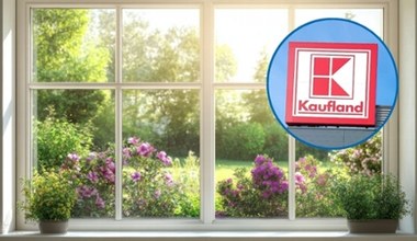 Pelargonie, tuje i warzywa już od 5,99 zł! Ogrodowa promocja w Kauflandzie jeszcze przez chwilę!
