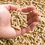 Pellet jest drogi albo go brakuje. Czy w piecu możesz palić owsem?