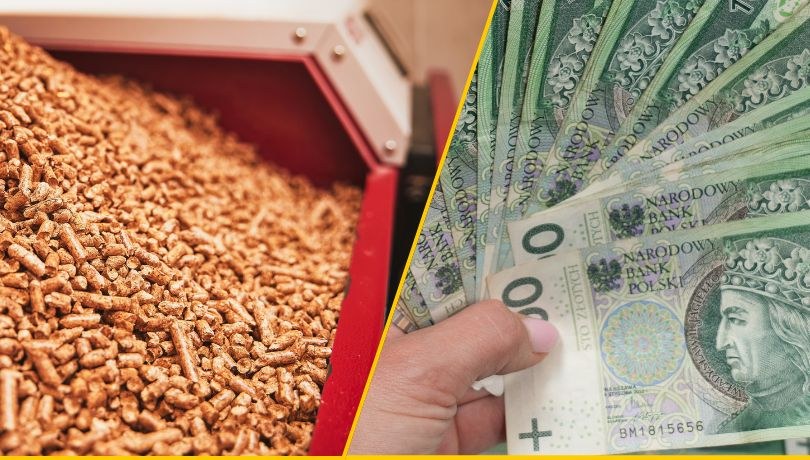 Pellet miał być tani i dostępny, a stał się deficytowy. Skok cen i braki w składach opału to problem setek tysięcy rodzin tej zimy /Shutterstock