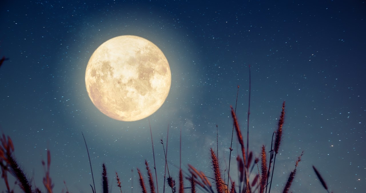 Pełnia Księżyca Myśliwych przypada 9 października /123RF/PICSEL