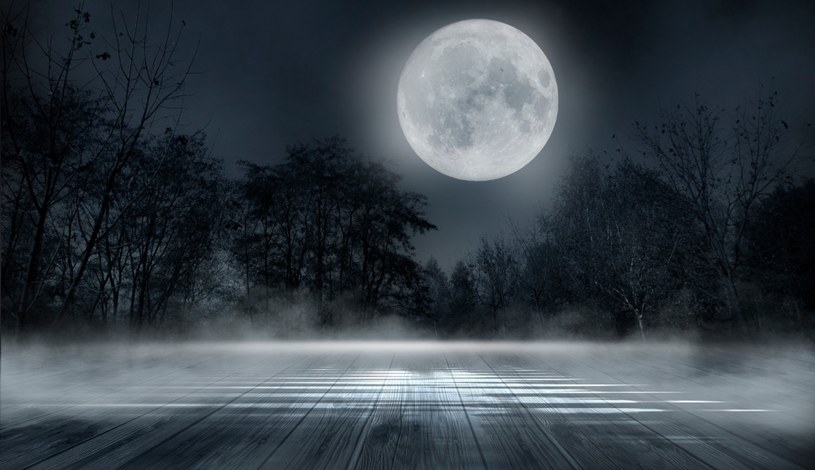 Pełnia Księżyca uchodzi za magiczny czas /123RF/PICSEL
