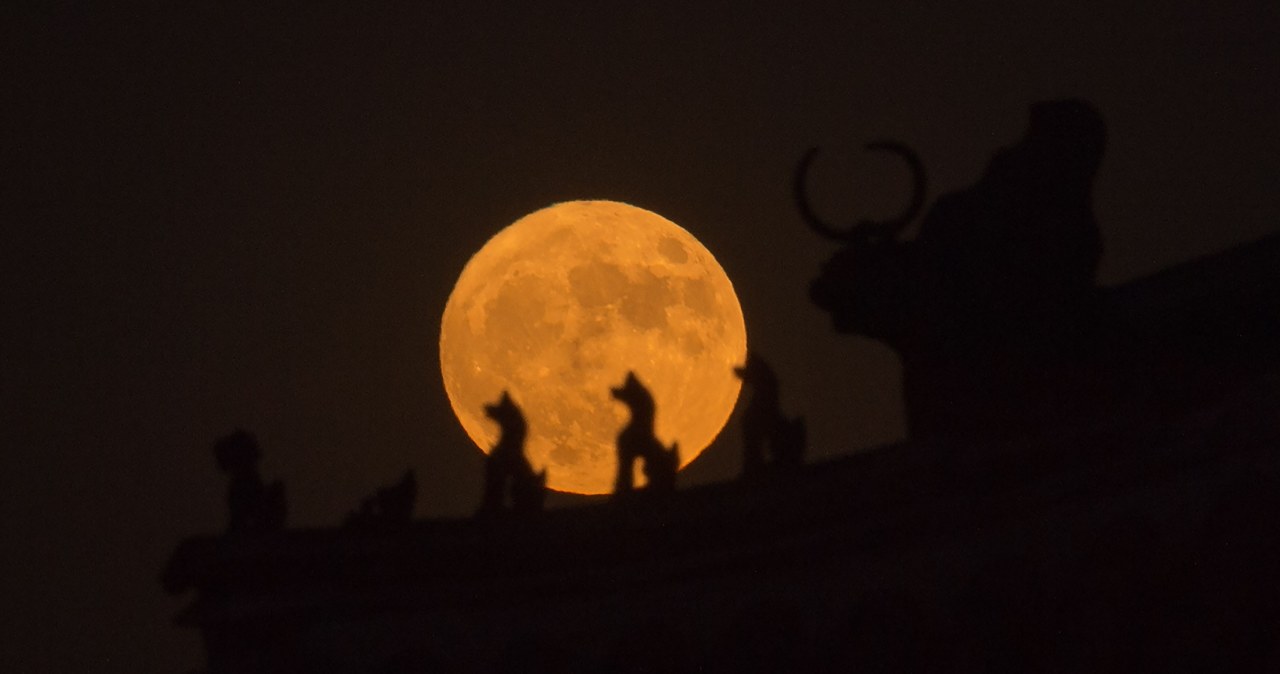 Pełnia Księżyca w czerwcu nosi nazwę Truskawkowej. Sprawdź, dlaczego /AFP