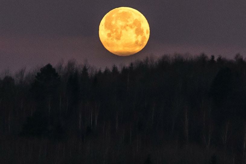 Pełnia Księżyca w kwietniu 2023. Kiedy oglądać Różowy Księżyc?