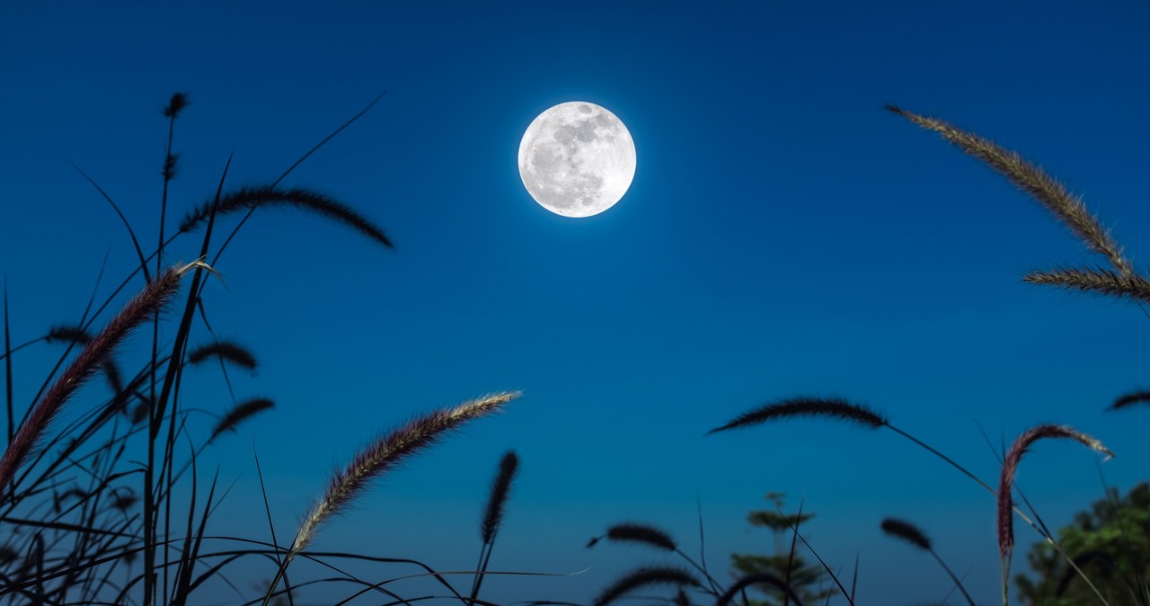 Pełnia Księżyca w sierpniu 2025 to Zbożowy Księżyc. Jak wpłynie na znaki zodiaku? /Pixel