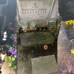 Pełno kwiatów na grobach Villas i Kaczyńskich. Widok u Marka Perepeczki poraża