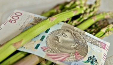 Pensja zaskakuje, wymagań brak. Szparagi i pieczarki, w ofertach można wybierać