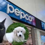 Pepco już szykuje pupile na chłodniejsze dni. Nowa kolekcja ruszyła od 23 lipca
