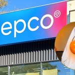 PEPCO ma HIT! Twój pupil będzie gwiazdą Halloween