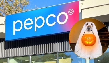 PEPCO ma HIT! Twój pupil będzie gwiazdą Halloween