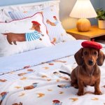 Pepco odpala kolekcję z jamnikiem. Te dodatki podbijają serca miłośników psów