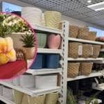 Pepco przywołuje wakacyjny klimat - ta kolekcja pozwoliła mi poczuć lato