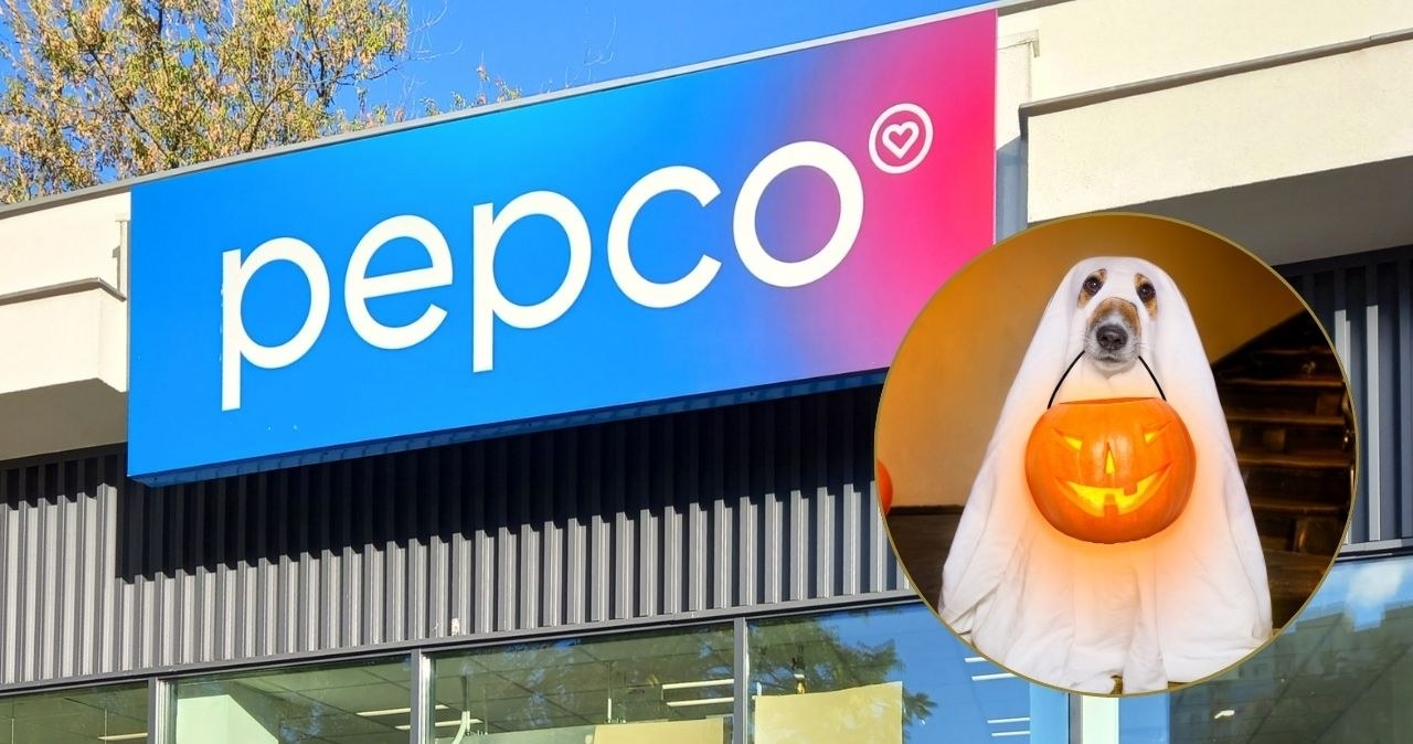 PEPCO zaskakuje – kostiumy dla psów za grosze! /CanvaPro /INTERIA.PL