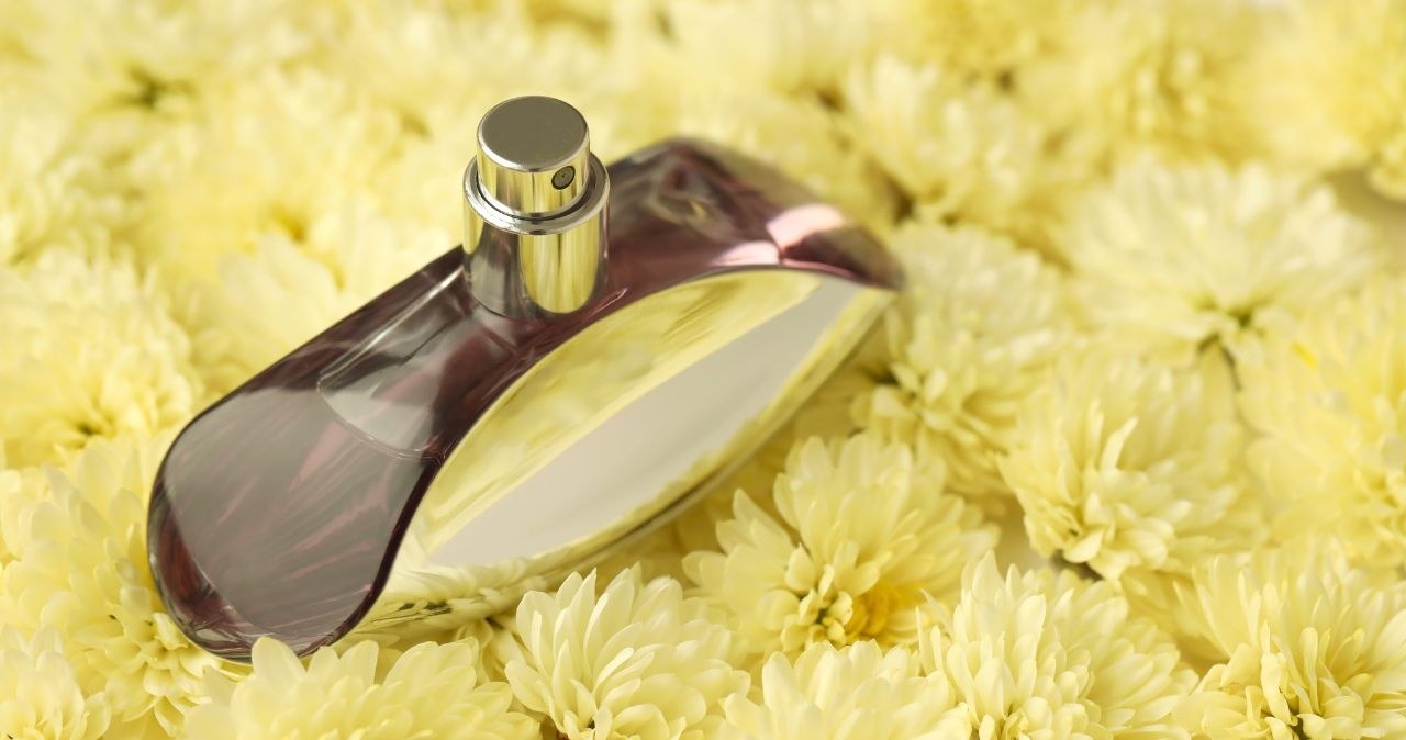 Perfumy Calvin Klein Euphoria 100 zł taniej w Rossmannie! /adobestock /INTERIA.PL