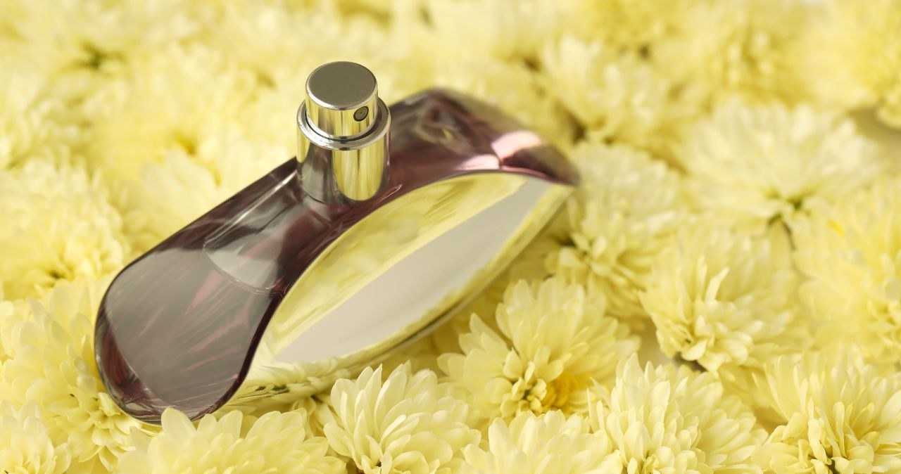 Perfumy Calvin Klein Euphoria na promocji w Rossmannie! /adobestock /INTERIA.PL
