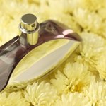 Perfumy Calvin Klein Euphoria w promocji za niecałe 100 zł w Rossmannie! Promocja na Dzień Matki