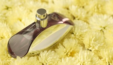 Perfumy Calvin Klein Euphoria w promocji za niecałe 100 zł w Rossmannie! Promocja na Dzień Matki