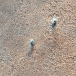 Film (2000)[Red Planet] Reż.Antony Hoffman