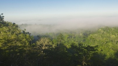 Peru: Kilka godzin po wizycie papieża rząd podjął kontrowersyjną decyzję