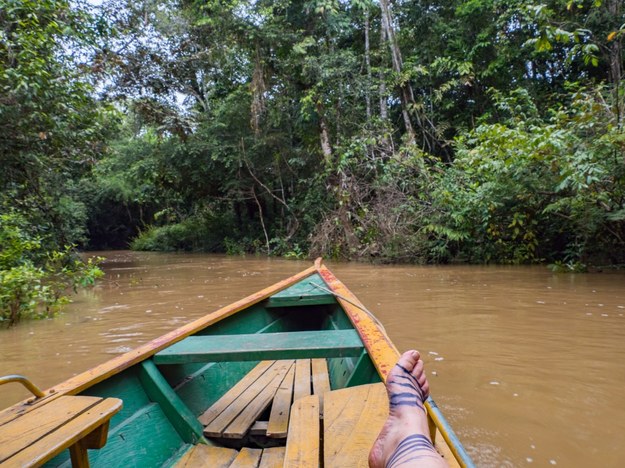 Peruwiańska Amazonia na zdjęciu ilustracyjnym /Shutterstock