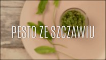 Pesto ze szczawiu