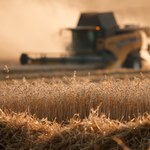 Pestycydy w ukraińskim zbożu. Polska już w lutym alarmowała Unię Europejską