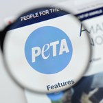 PETA domaga się rezygnacji z wykorzystywania żywych zwierząt w hollywoodzkich produkcjach